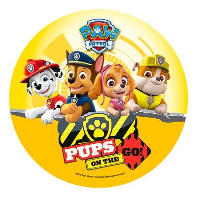 Tårtbild Paw Patrol